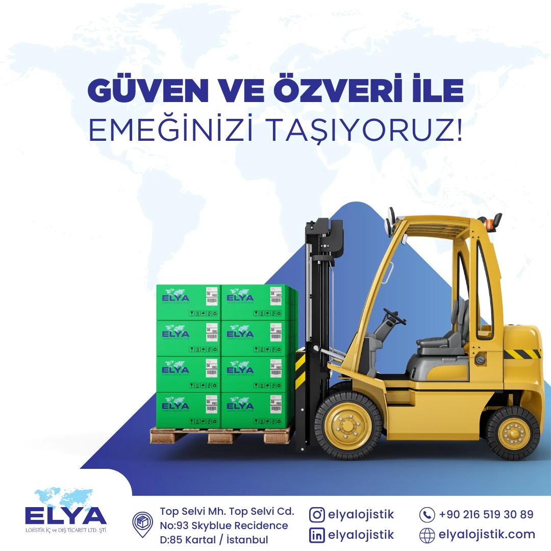 Çalışma 19